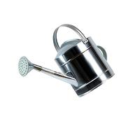 budiniao Arrosoir pour Plantes avec Grande Bouche pour Un Remplissage Facile. L'arrosage est très approprié pour Les Plantes d'intérieur d'extérieur en Acier Inoxydable, Fer galvanisé, 7L