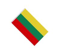 budiniao Célébrez avec un drapeau national suspendu. Bannière nationale à suspendre, décoration de défilé, drapeau pour toutes occasions. Grande bannière nationale. Décoration de festival