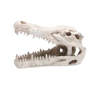 budiniao Figurines de Dinosaures en résine de qualité supérieure, Formes réalistes, Bords sécuritaires, conçues pour Le Cosplay et la décoration intérieure. Elles servent également cachette pour