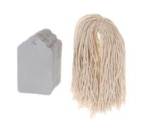 budiniao Lot de 100 étiquettes volantes pour fête de révélation du sexe, adorables étiquettes en papier kraft pour célébrations, cadeaux en papier kraft vierges à suspendre