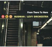 Budman - from There to Here [Import]