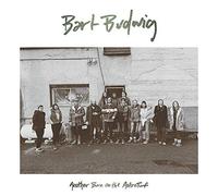 BUDWIG BART - ANOTHER BURN ON THE ASTROTURF - Vinyl Record - 61 - F4z