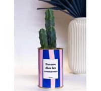 Buenos dias las connasses - Idée Cadeau Plante