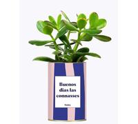 Buenos dias las connasses - Idée Cadeau Plante