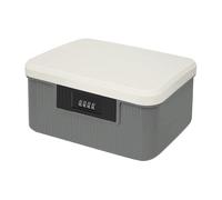 BUERPINKING Boîte à médicaments verrouillable à 2 étages en ABS - Boîte à médicaments multifonction - Boîte à pharmacie - Boîte de rangement (gris, 16 l)