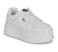 Buffalo Baskets basses BFL // BESU in Blanc 38