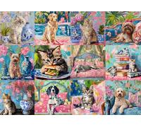 Buffalo Games - Bonjour - Sophie Clima - Collage de Chats et de Chiens - Puzzle de 1000 pièces pour Adultes - Puzzle Stimulant Parfait pour Les soirées de Jeu