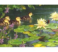 Buffalo Games - Hautman Brothers - Big Day Out - Puzzle de 1000 pièces pour Adultes - Puzzle Stimulant Parfait pour Les soirées de Jeu - La Taille finie est de 68 x 50 cm