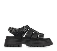 Buffalo Lennox Fisher - 36