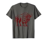 Buffalo New York 716 Code régional Pride T-Shirt