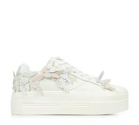 Buffalo Paired Butterfly - 39