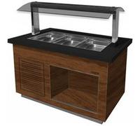 Buffet Chaud Professionnel Premium GN 1/1 L2G G