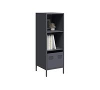 Vidaxl Buffet Haut Anthracite 35x39x103,5 Cm Acier Multicolore