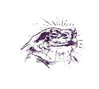 Bufo Alvarius