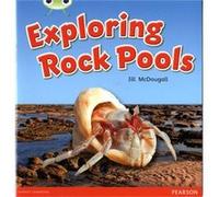 Bug Club Green C Exploring Rock Pools Jill Mcdougall, (Auteur)