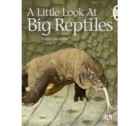 Bug Club Guided Non Fiction Year 1 Blue B A Little Look At Big Reptiles