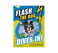 Bug Club Independent Fiction Year 3 Brown B Flash The Dog Dives In!