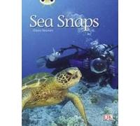Bug Club Independent Non Fiction Year 1 Green A Sea Snaps