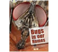 Bug Club Independent Non Fiction Year Two Lime A Bugs In Our Homes