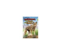 Bug Club Independent Non Fiction Year Two Lime Plus Environment A World Of Change