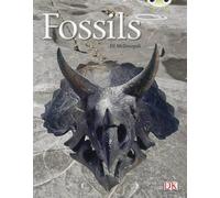 Bug Club Non-Fiction Gold A/2b Fossils 6-Pack