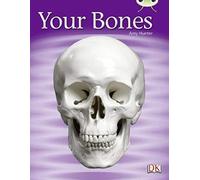 Bug Club Non-Fiction Green C/1b Your Bones 6-Pack