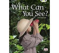 Bug Club Non-Fiction Red A (Ks1) What Can You See? 6-Pack