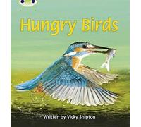 Bug Club Phonics - Phase 5 Unit 23: Hungry Birds