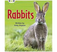 Bug Club Phonics - Phase 5 Unit 27: Rabbits