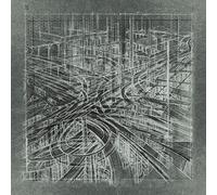 The Bug vs. Earth Concrete Desert (Vinyl) 12" Album