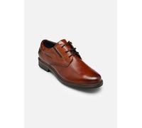 Bugatti Plato pour 44 Marron