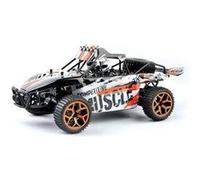 Buggy électrique Amewi Extreme D5 brushed 2,4 GHz 4 roues motrices (4WD) 100% RtR 1:18