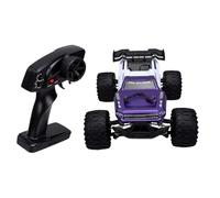 Buggy RC à L'échelle 1:14, Voiture RC Rapide 42 Km/h (Purple)