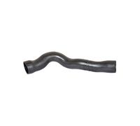 BUGIAD 81620 Gaine de suralimentation pour MERCEDES-BENZ