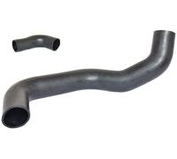 BUGIAD 81634 Gaine de suralimentation pour MERCEDES-BENZ