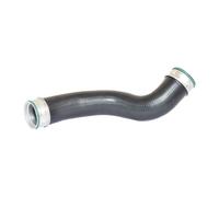 BUGIAD 81648 Gaine de suralimentation pour MERCEDES-BENZ