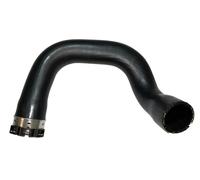 BUGIAD 81753 Durite de turbo
