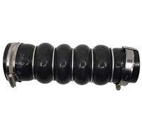 BUGIAD 81949 Gaine de suralimentation pour FORD