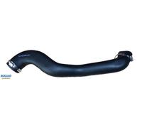 BUGIAD 82161 Gaine de suralimentation pour FORD
