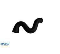 BUGIAD 82638 Gaine de suralimentation pour AUDI,SKODA,VW