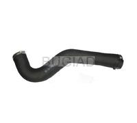 BUGIAD 86648 Durite de turbo