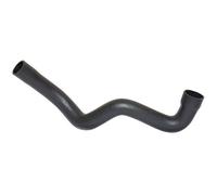 BUGIAD 88656 Gaine de suralimentation pour FIAT