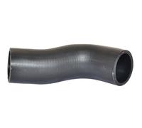 BUGIAD 88665 Gaine de suralimentation pour FIAT