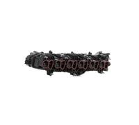 Clapet d'échappement BIM17044 BUGIAD pour BMW 6 Coupé 7 6 Décapotable X3 5 X5 3
