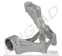 Bugiad BSP20325 Support Palier de Bras Suspension Avant à Gauche pour VW Skoda