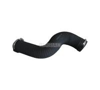 BUGIAD Gaine de suralimentation Boîtier papillon 86632 pour AUDI