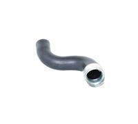 Conduite d'air Intercooler, échangeur 88560 BUGIAD pour RENAULT MEGANE III Coupé