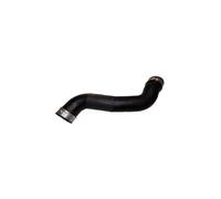 BUGIAD Tuyau De Charge Compatible Pour Mercedes-Benz W211 S211 81662