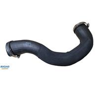 BUGIAD Tuyau De Chargeur Turbo Pour Ford Transit Kasten 2.0 EcoBlue