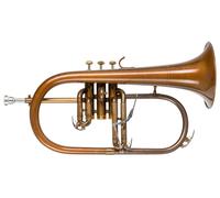 Bugle à Piston Trompe Flugelhorn en Sib Bronze Antique 3 Piston avec Embouchure